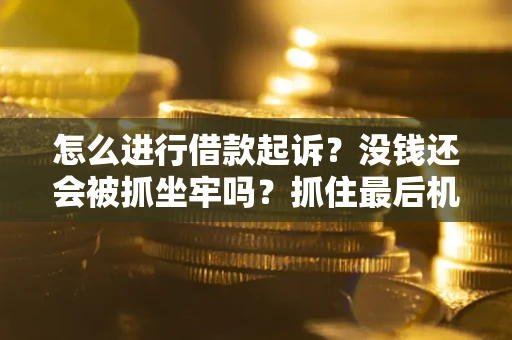北京怎么进行借款起诉？没钱还会被抓坐牢吗？抓住最后机会！