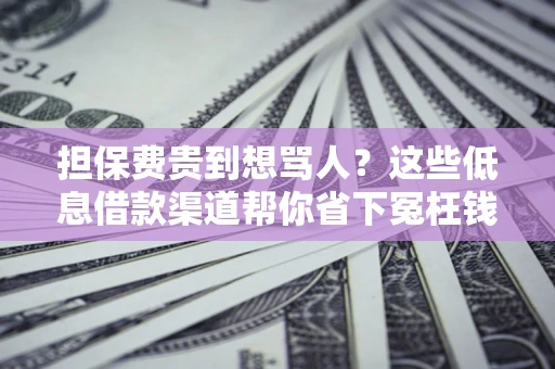 北京担保费贵到想骂人？这些低息借款渠道帮你省下冤枉钱