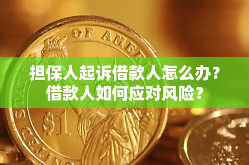 北京担保人起诉借款人怎么办？借款人如何应对风险？