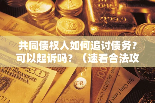 北京共同债权人如何追讨债务？可以起诉吗？（速看合法攻略）