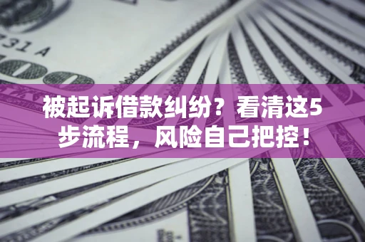 北京被起诉借款纠纷？看清这5步流程，风险自己把控！